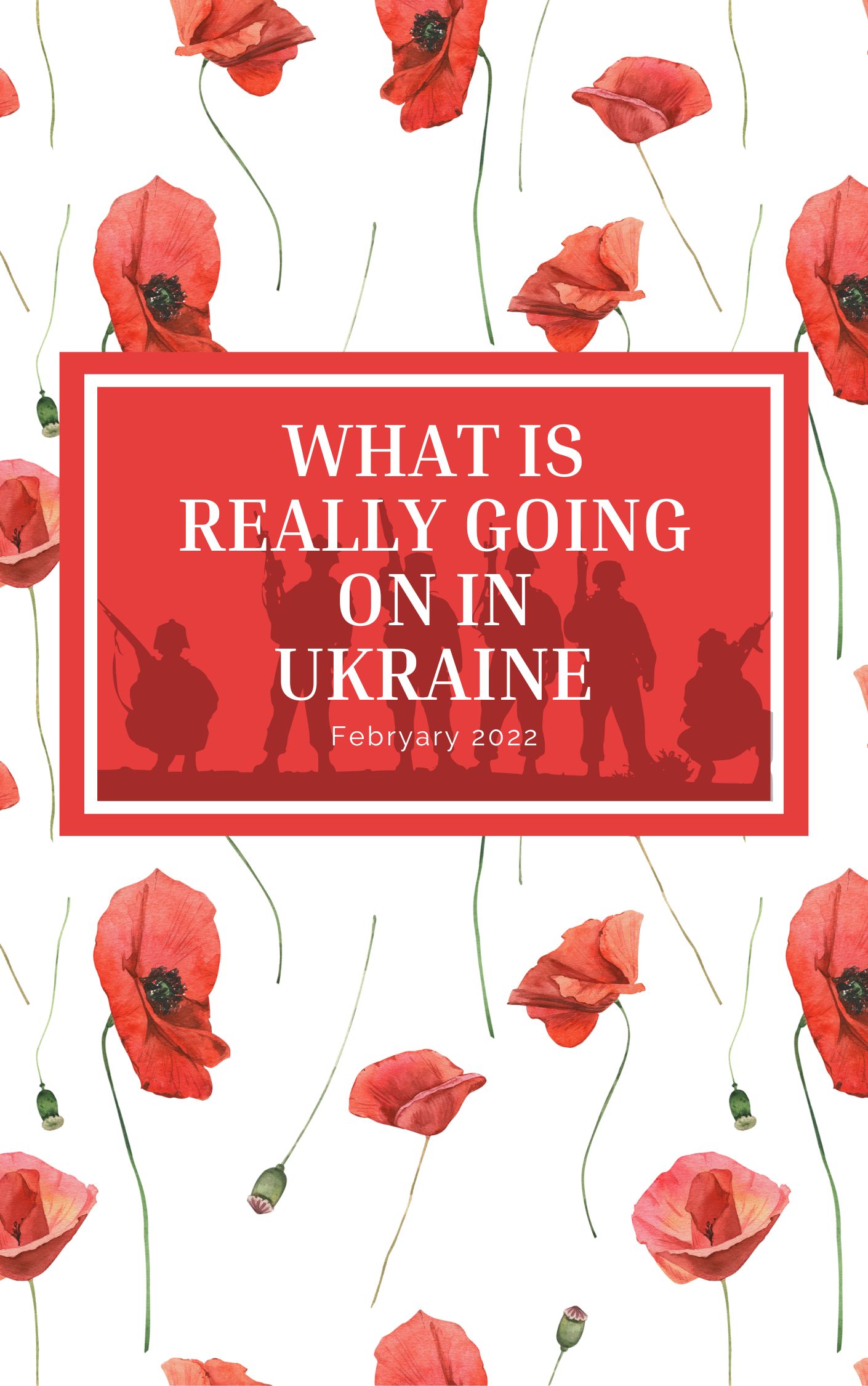 book cover of the book What is really going on in Ukraine